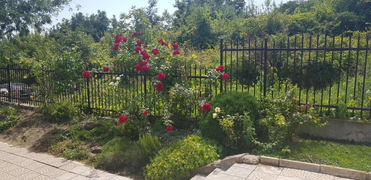 Harmony Hills Kolevi Apartments روغاشيفو المظهر الخارجي الصورة